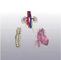 281672217784153339.png 資源 354@2x.png